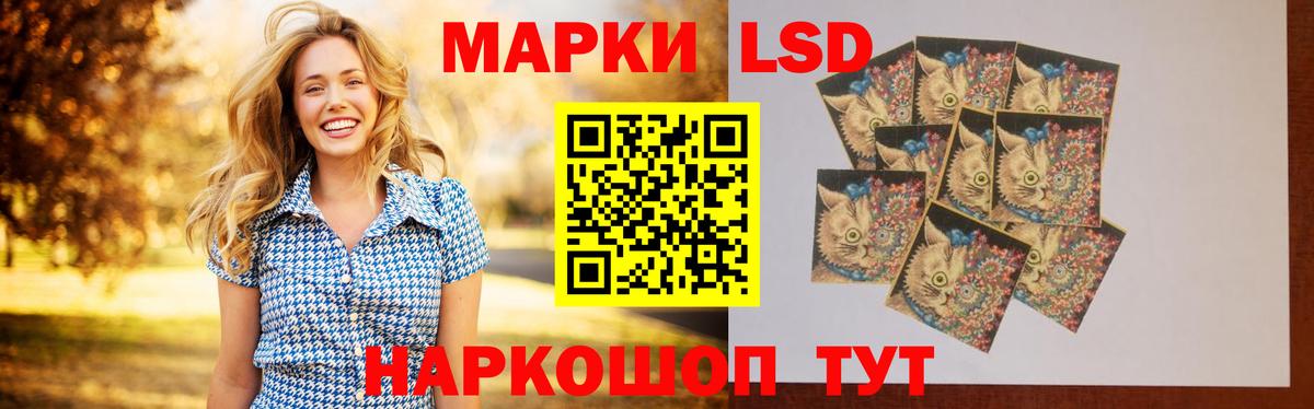 ЛСД экстази кислота  ЛСД экстази  Камышлов  Вход с VPN 