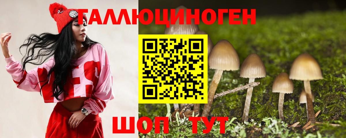 Псилоцибиновые грибы мицелий Камышлов