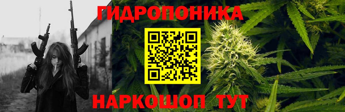 Бошки Шишки Amnesia Камышлов